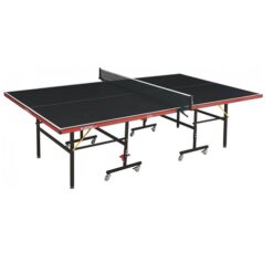 Indoor Table Tennis