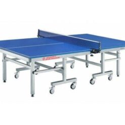 Sportsworkd - indoor table tennis
