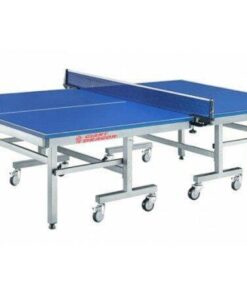 Sportsworkd - indoor table tennis