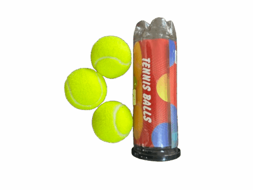 12036